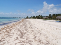 Summer 2008 (Cuba). Santa Lucia