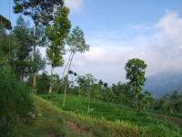 Thailand, Indonesia, Singapore (winter 2010). Climbing Mount Merapi