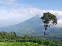 Thailand, Indonesia, Singapore (winter 2010). Climbing Mount Merapi