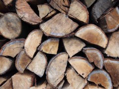 Firewood