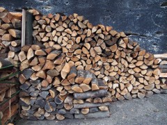 Firewood