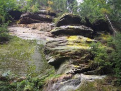 They say this rock looks like a dolphin...