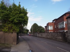 Just a street, Cork