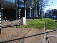 March 2017. Berlin — Rotterdam — Düsseldorf. Green streetcar tracks