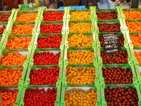 March 2017. Berlin — Rotterdam — Düsseldorf. Tomatoes