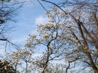 March 2017. Berlin — Rotterdam — Düsseldorf. Düsseldorf