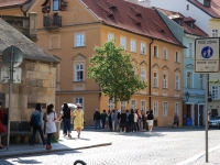 Prague, May 2017. Chinese tourists taking pictures of a tree