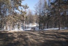 Road on Olkhon