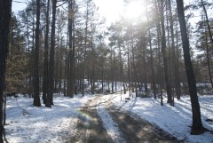 Road on Olkhon