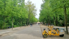 Near the Brandenburg Gate