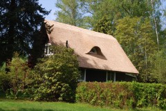 Thatched roof