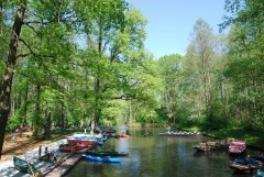 Boat parking near the restaurant in Lede