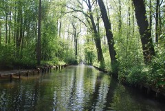 Canal in Lede