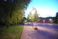 An evening near the Tiergarten