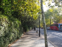 London. September 2018. The road