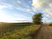 Panoramas. Orel region, July 2017