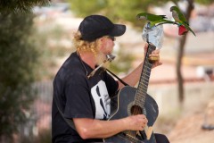 A street musician in Park Güell