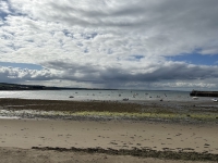 Journey to Ireland. Low tide